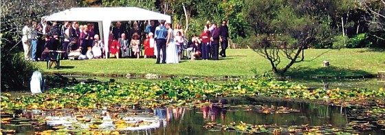Wedding at Rapaura