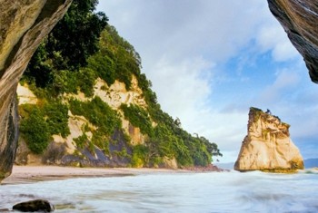 Cathedral Cove
