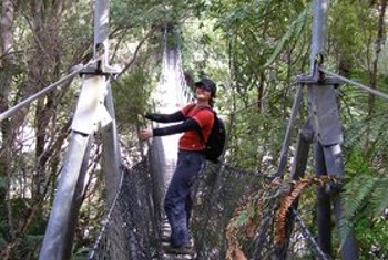 Kauaerangi Vallery Walks