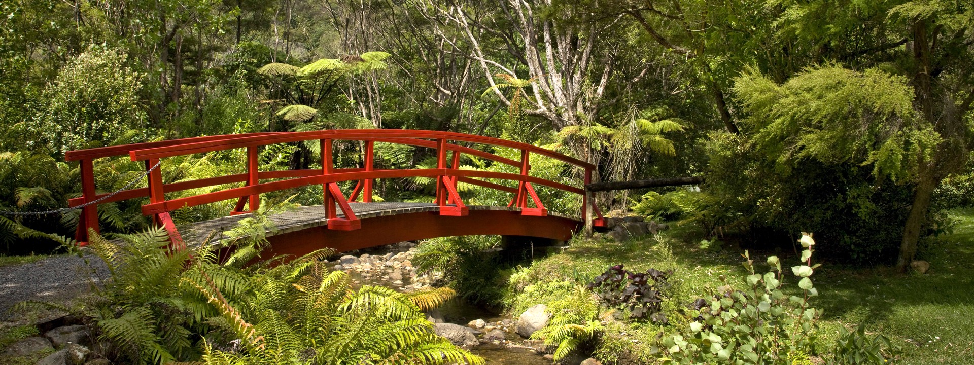 Rapaura Watergarden Thames NZ