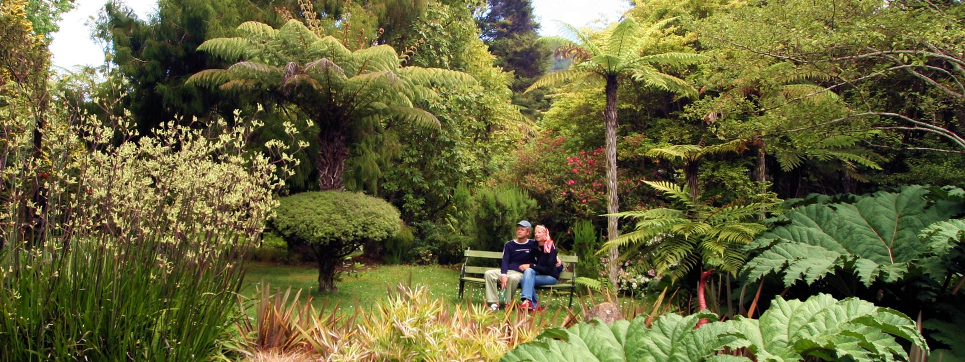 Rapaura Watergarden Thames NZ